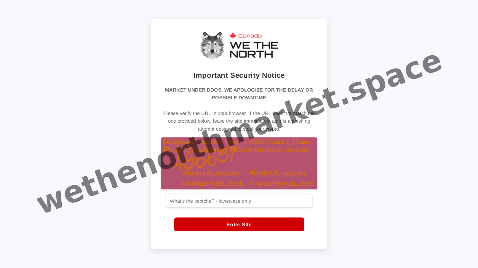 WeTheNorth DDoS Protection Layer